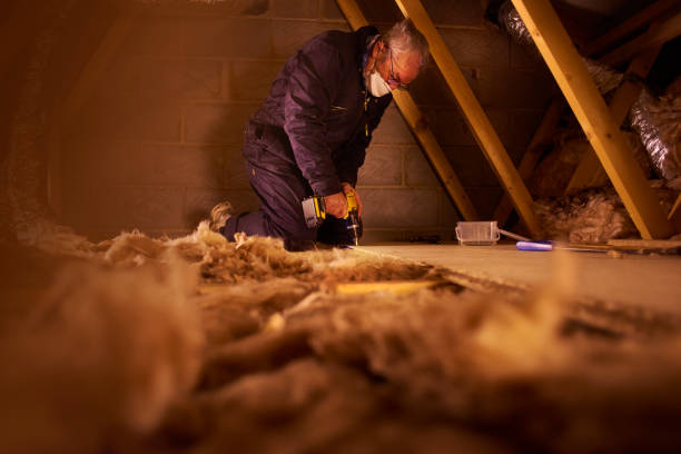 Best Eco-Friendly Insulation in Park City, KS
